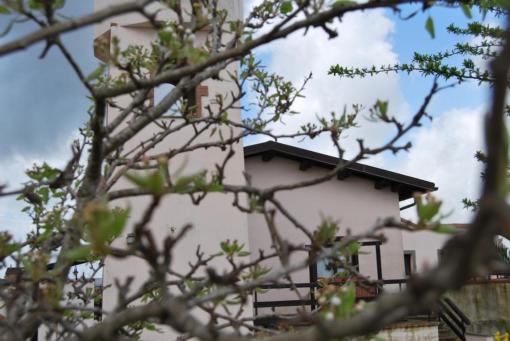 Agriturismo Torre Cristina Aprilia Exterior photo