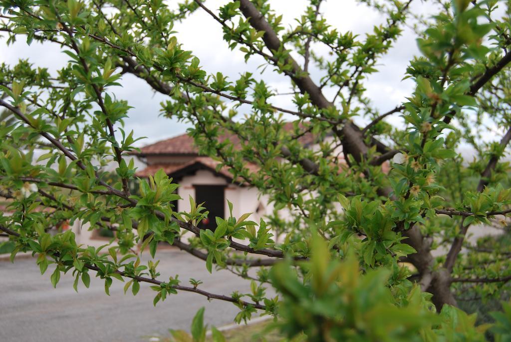 Agriturismo Torre Cristina Aprilia Exterior photo