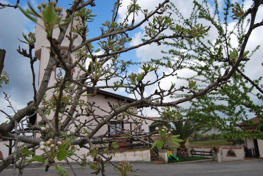 Agriturismo Torre Cristina Aprilia Exterior photo